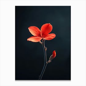 Red Flower On Black Background 5 Canvas Print