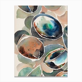 Abalone Vintage Graphic Watercolour Canvas Print