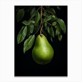 Pear 1 Canvas Print