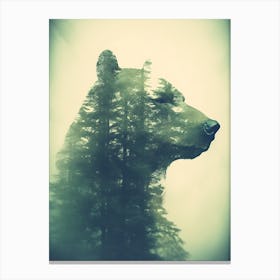 Bear In The Forest 5 Canvas Print