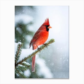 Cardinal Perched On A Frosted Pine Branch Vibrant Red Feathers Contrasting With Soft White Snow Ge Canvas Print