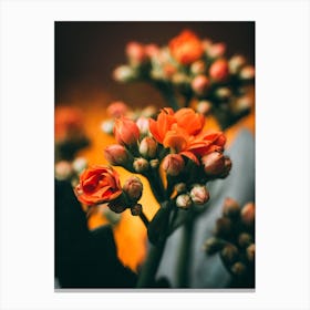 Poster Flower Art Print 13 Canvas Print