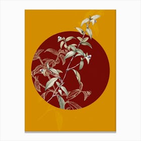 Vintage Botanical Birdbill Dayflower on Circle Red on Yellow n.0181 Canvas Print