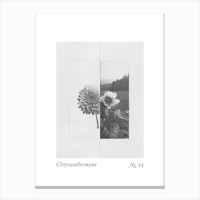 Chrysanthemum Botanical Collage 1 Canvas Print
