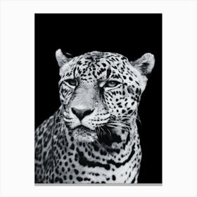 Leopard - Black And White Portrait Canvas Print