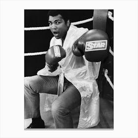 Muhammad Ali Posing Wearing Daily Star Boxing Gloves 1981 Canvas Print