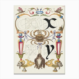 Guide For Constructing The Letters X And Y From Mira Calligraphiae Monumenta, Joris Hoefnagel Canvas Print