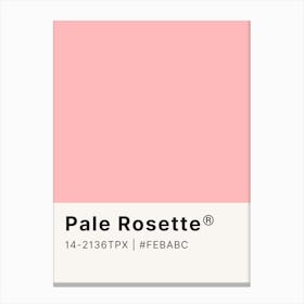 Pale Rosette Canvas Print