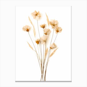 dry flowers Canvas Print