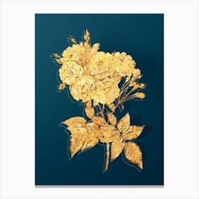 Vintage Noisette Roses Botanical in Gold on Teal Blue n.0157 Canvas Print