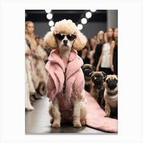 Runway Poodle Canvas Print