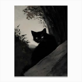 Black Cat 9 Canvas Print