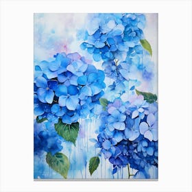 Blue Hydrangeas 7 Canvas Print