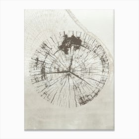 Neutral Tree Ring Stump 1 Canvas Print