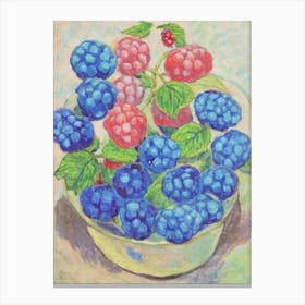 Raspberry Vintage Sketch Fruit Canvas Print