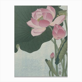 Lotus Flower 28 Canvas Print