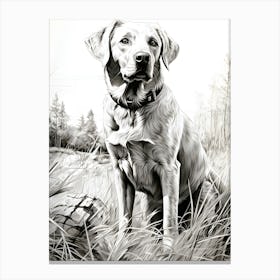 Canine Dreams Dog In Repose Canvas Print