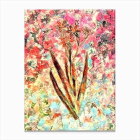 Impressionist Blackberry Lily Botanical Painting in Blush Pink and Gold Canvas Print
