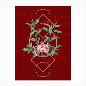 Vintage Azalea Botanical with Geometric Line Motif and Dot Pattern n.0208 Canvas Print