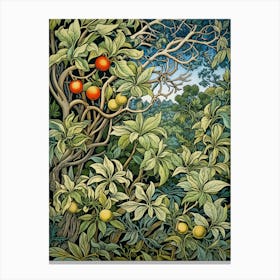 Apricot Tree Canvas Print