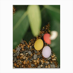 Easter Eggs 567 Canvas Print