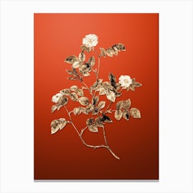Gold Botanical Sweetbriar Rose on Tomato Red n.0493 Canvas Print