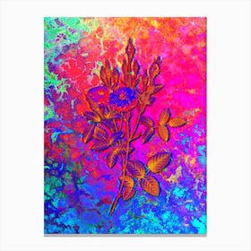 Mossy Pompon Rose Botanical in Acid Neon Pink Green and Blue n.0202 Canvas Print