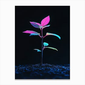 Neon Plant On Black Background 7 Canvas Print