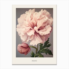 Floral Illustration Peony 4 Poster Canvas Print