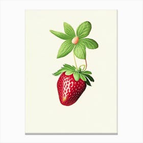 Strawberry Plant,, Fruit, Marker Art Illustration 1 Canvas Print