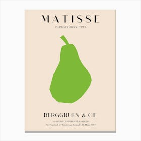 Matisse Papers Ressources Canvas Print