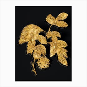 Vintage Paper Mulberry Flower Botanical in Gold on Black n.0375 Canvas Print
