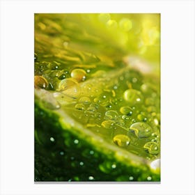 Water Droplets On Lime 1 Canvas Print