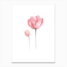 Pink Peony Watercolor Painting Canvas Print