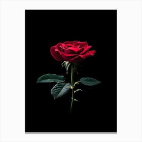 Red Rose On Black Background 42 Canvas Print