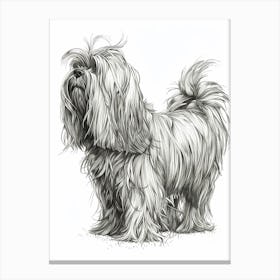 Lowchen Dog Line Sketch Canvas Print