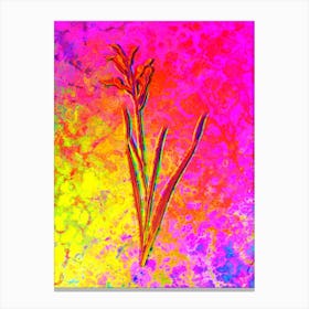 Gladiolus Cunonius Botanical in Acid Neon Pink Green and Blue n.0031 Canvas Print