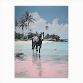 A Horse Oil Painting In Pink Sands Beach, Bahamas, Portrait 3 Canvas Print