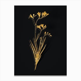 Vintage Freesia Botanical in Gold on Black n.0367 Canvas Print