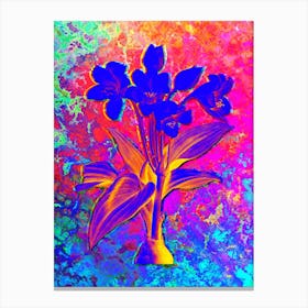 Crinum Giganteum Botanical in Acid Neon Pink Green and Blue Canvas Print