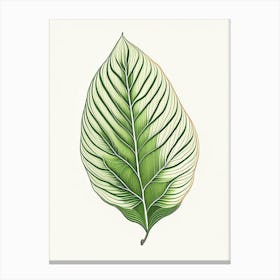 Hosta Leaf Warm Tones 4 Canvas Print