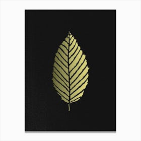 Beech Leaf Golden On Black Canvas Print