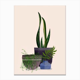 Botanical Plants Canvas Print