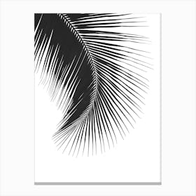 Palm Leaf Vector Canvas Print