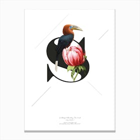 Botanical  Alphabet S Canvas Print