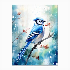 Snowy Blue Jay 3 Canvas Print