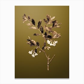 Gold Botanical White Honeysuckle Plant on Dune Yellow n.2167 Canvas Print