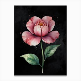 Peony Flower Canvas Print