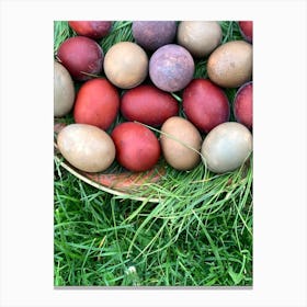 Easter Eggs 598 Canvas Print