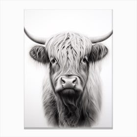 Black & White Illustration Of Highland Cow Portrait Canvas Print